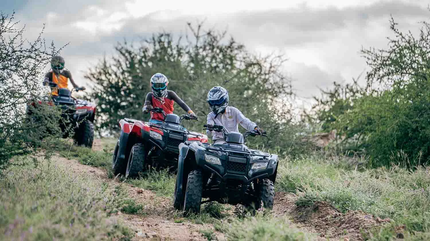 Guests on quad bikes in the bush