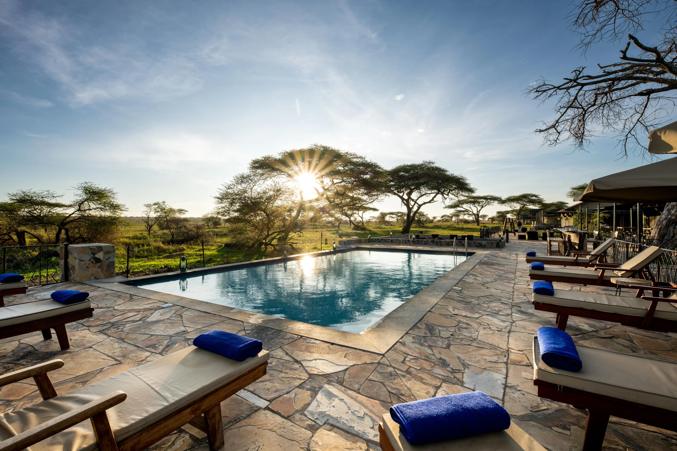 The pool with loungers at sunrise