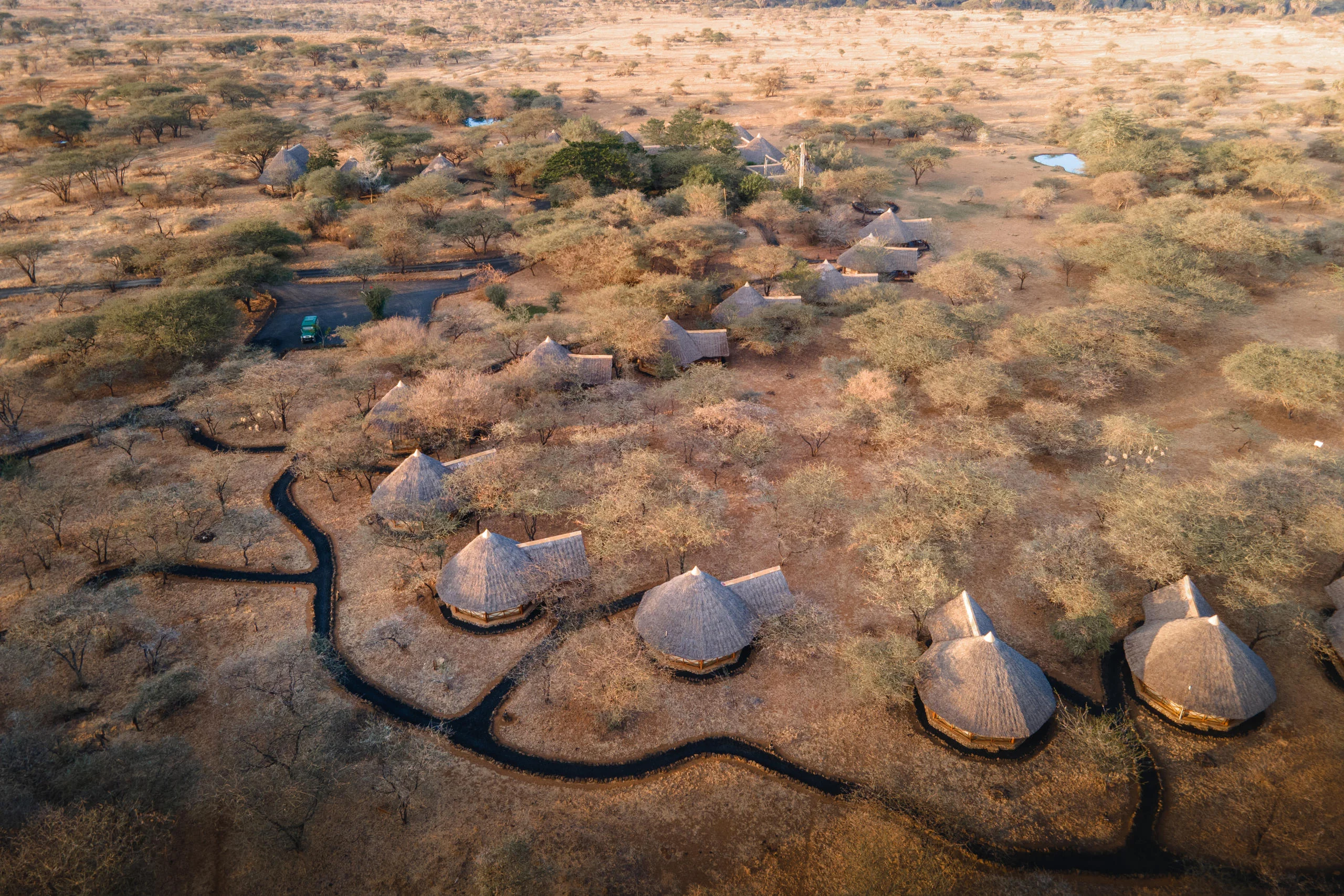 The thatched tents in the dry bush, from the air