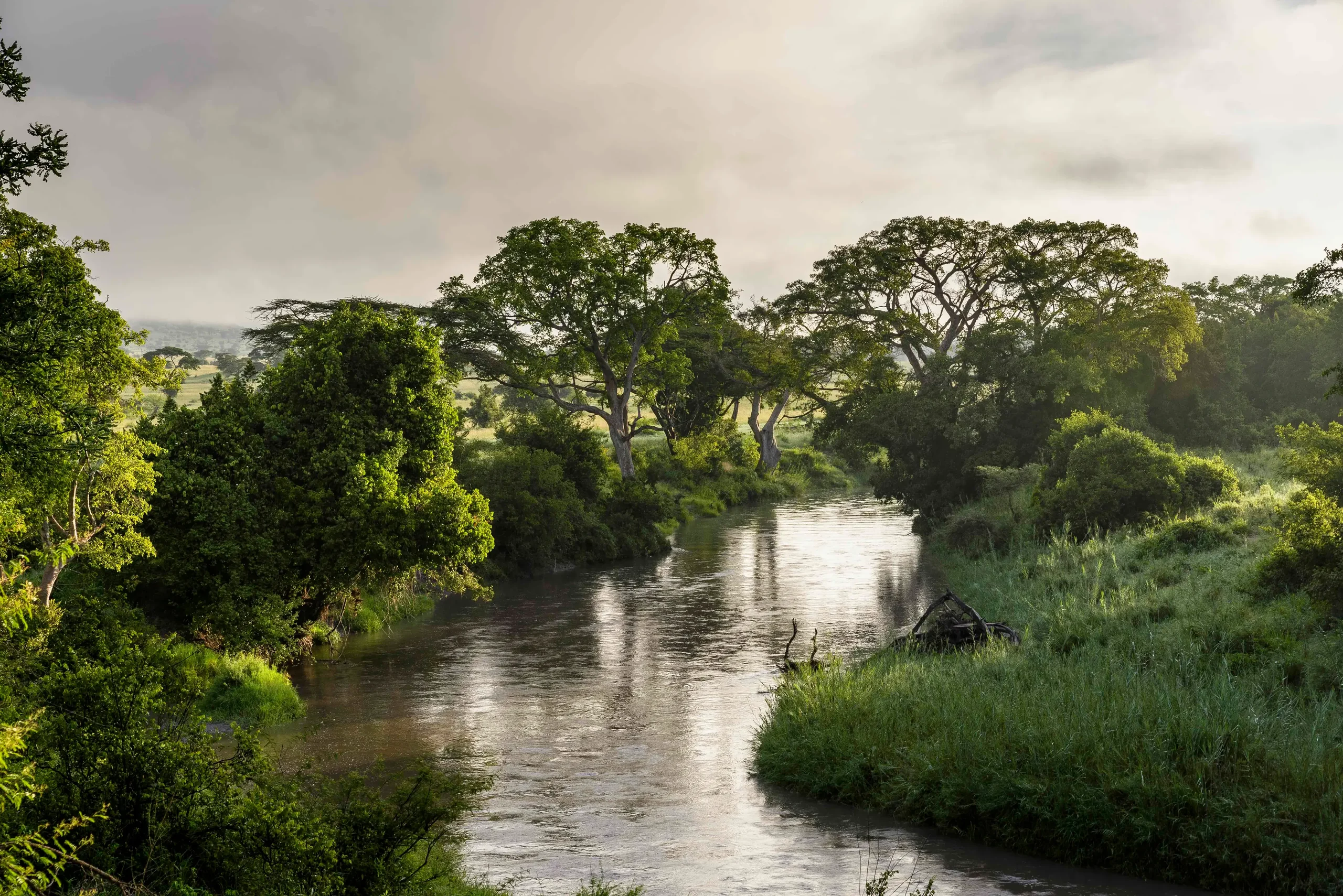 The river winding through the woodland below the lodge