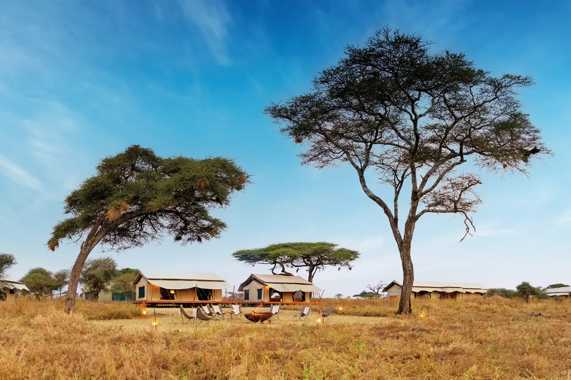 The camp beneath acacias on the plains
