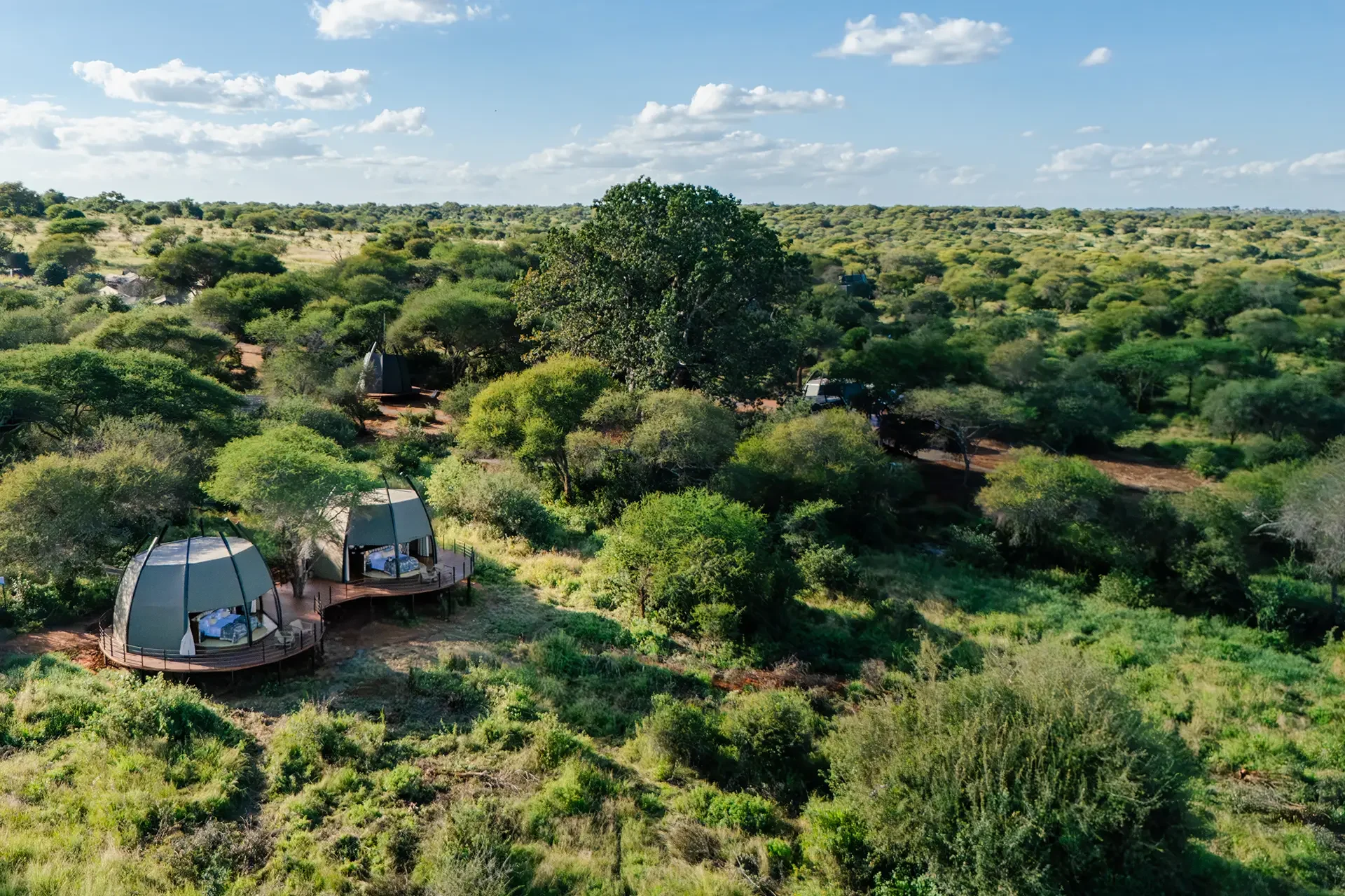 The camp's domed tents among the trees, from the air