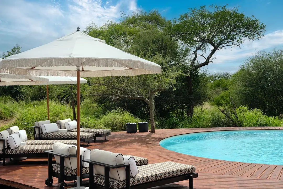 The pool with loungers and a parasol beneath the trees