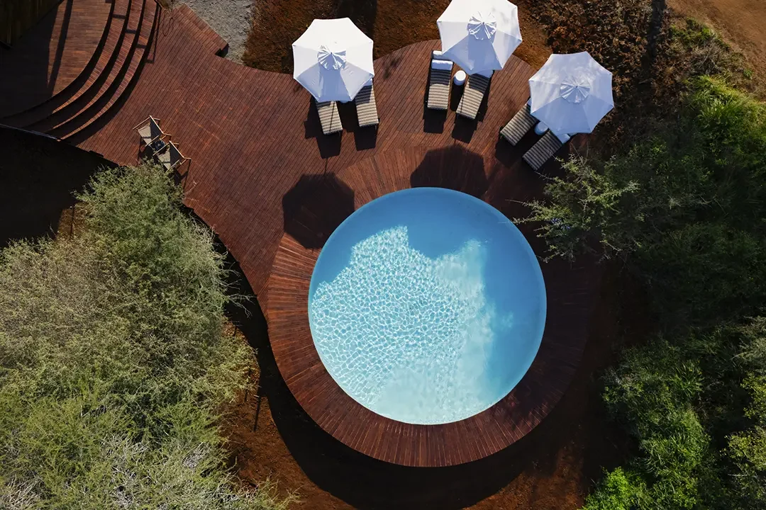 A round pool and its deck seen from above