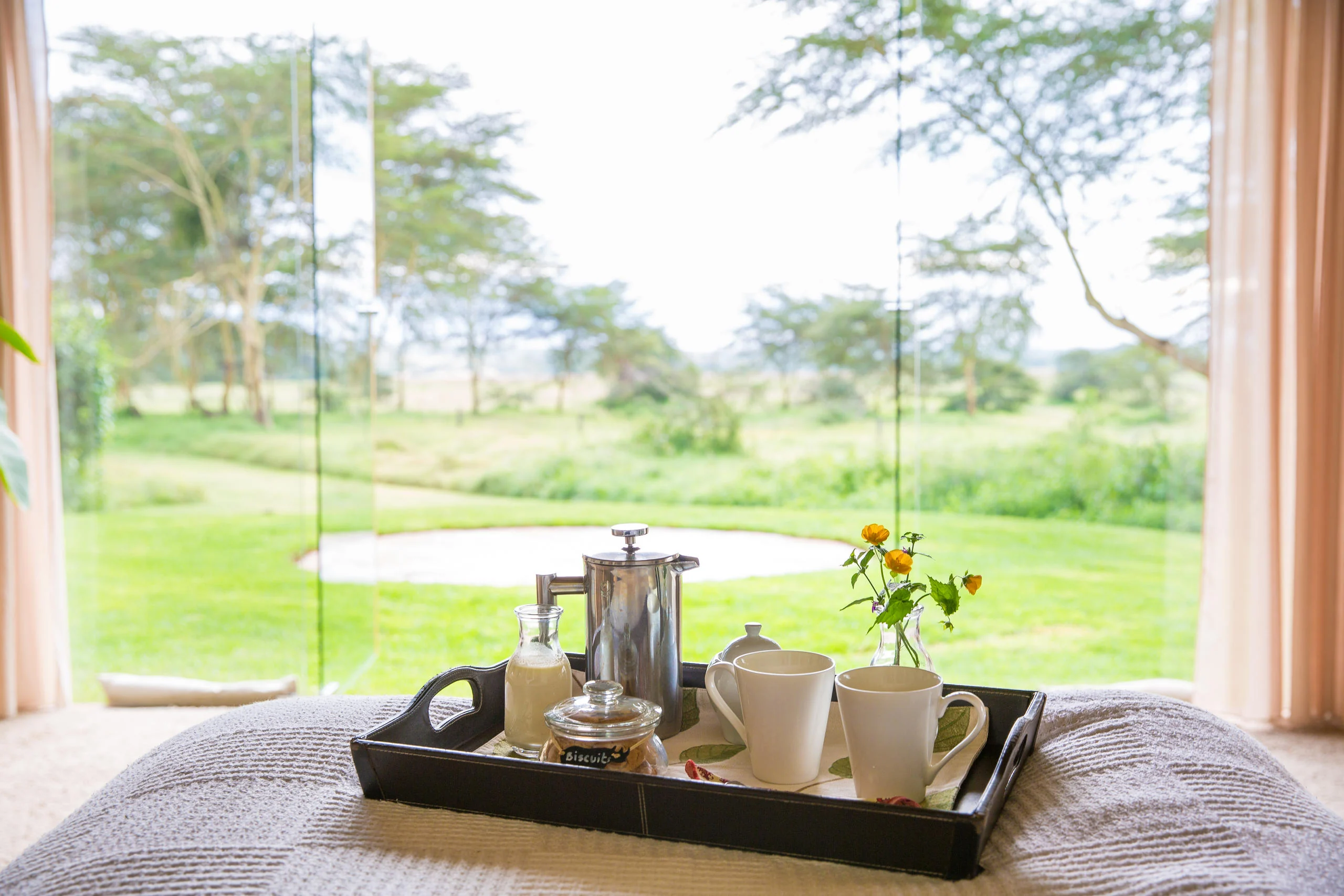 A tea tray beside a window onto the plains