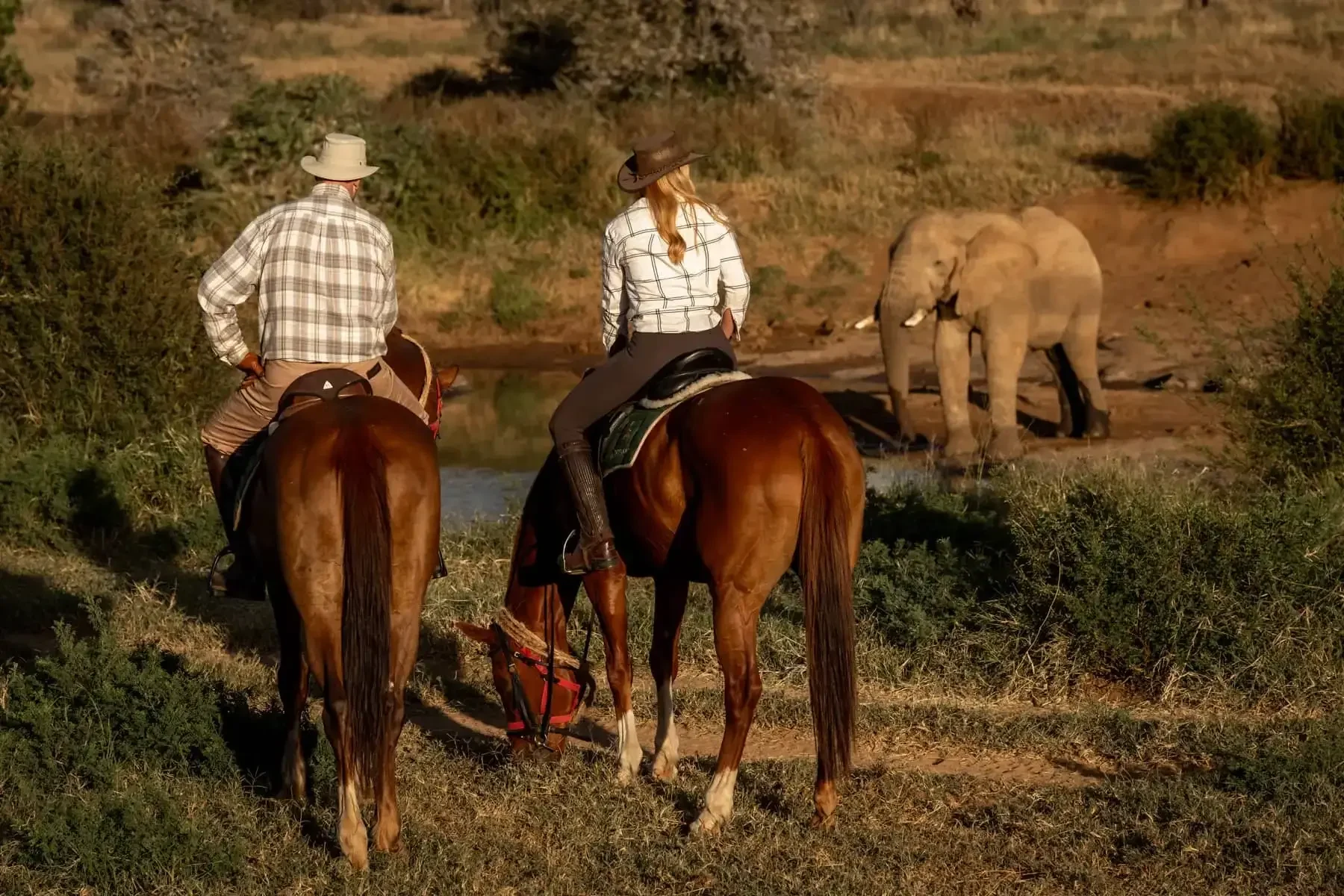 Two riders on horseback near an elephant