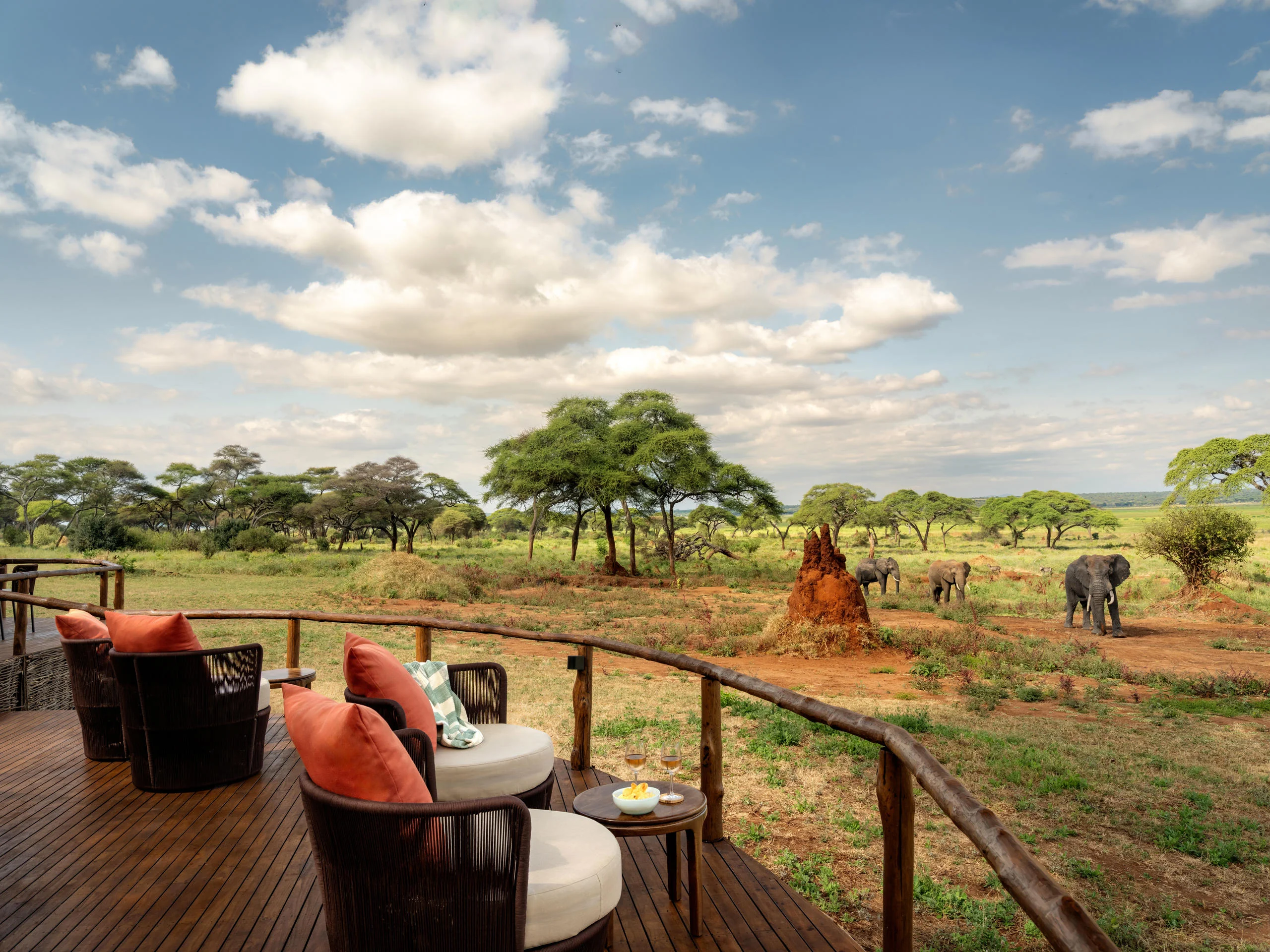 A tent deck looking out to elephant on the plains