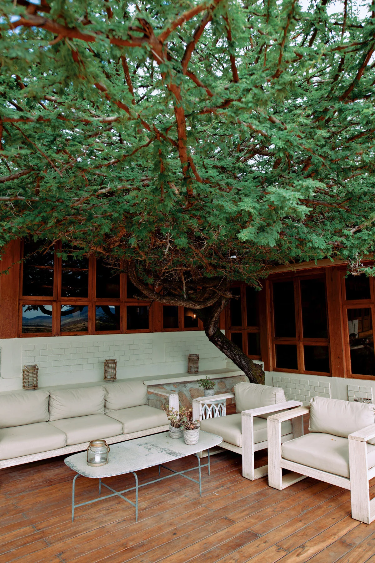 A lounge deck beneath the trees
