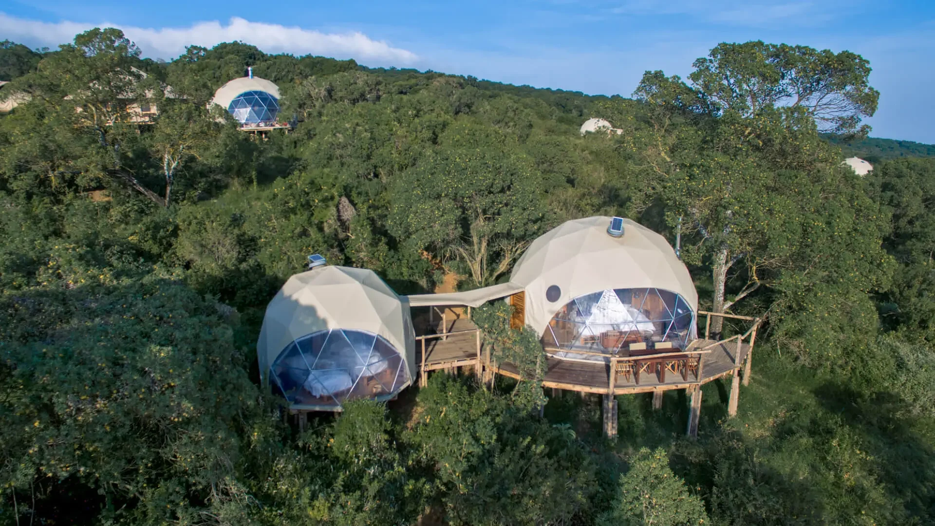 The domed suites on the forested slope, from the air