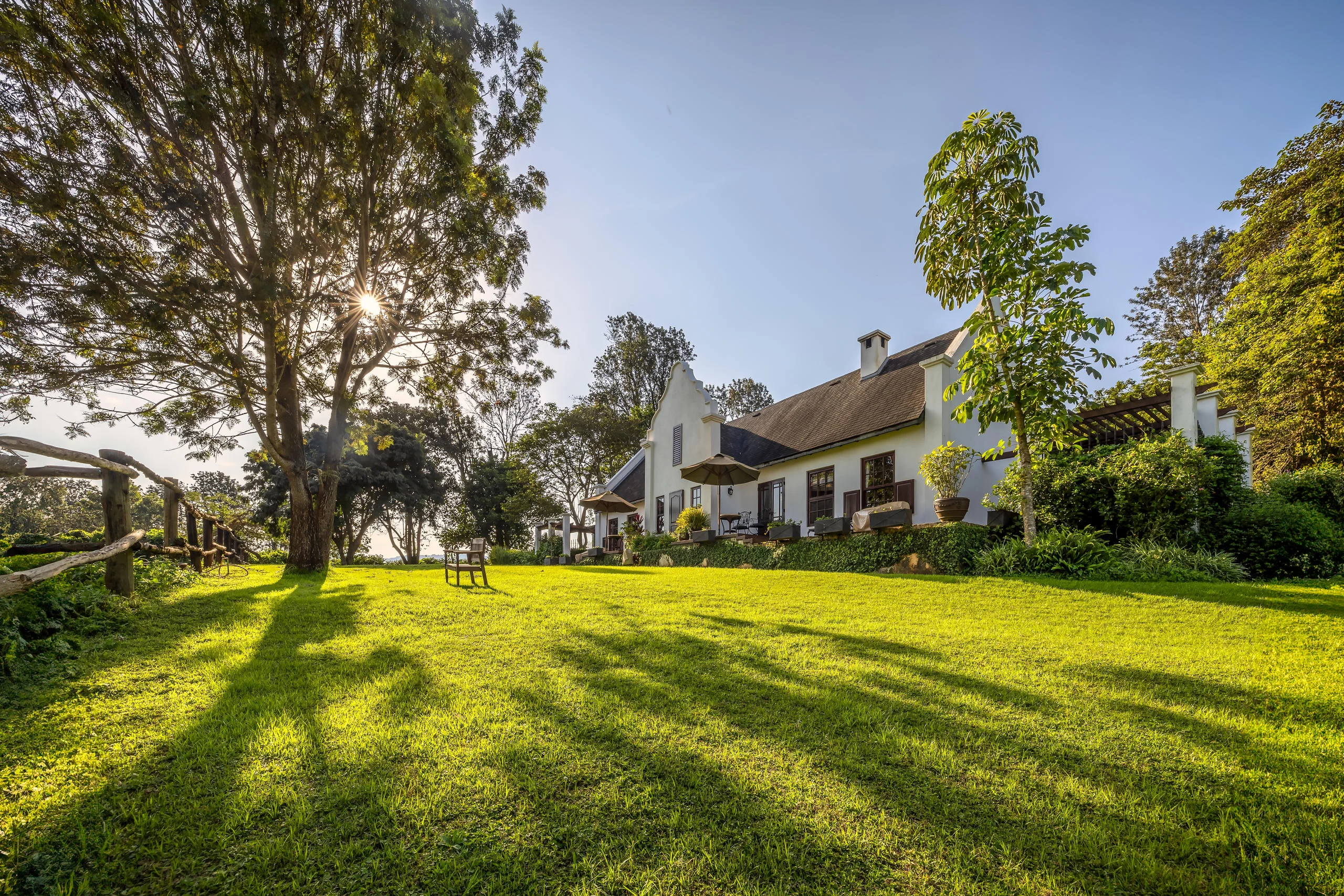 The manor house across the lawn beneath tall trees