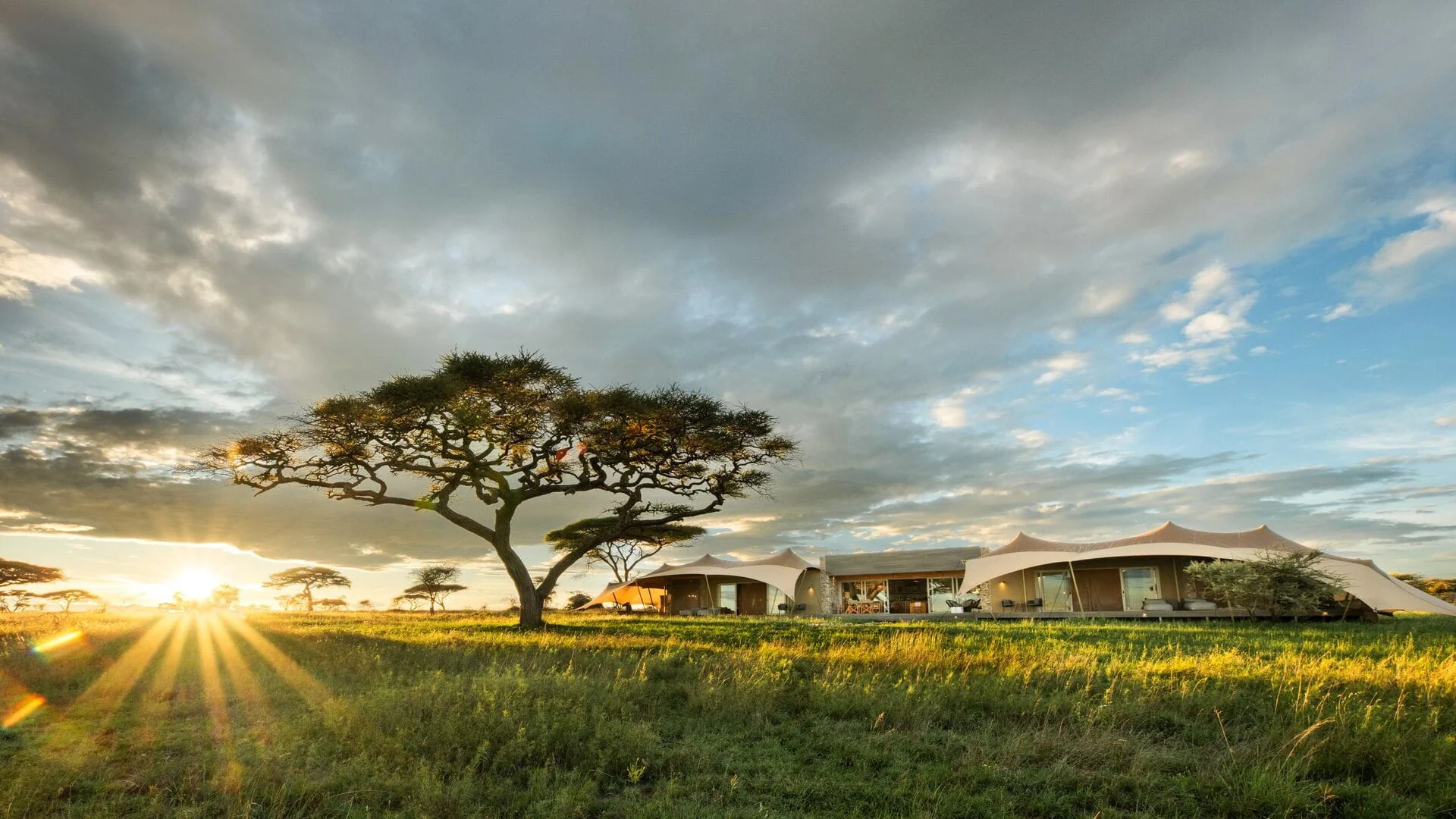The retreat beneath an acacia at sunrise