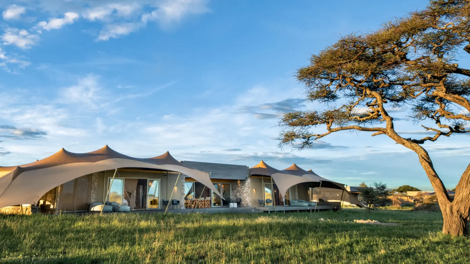 The tented suites beneath the acacias