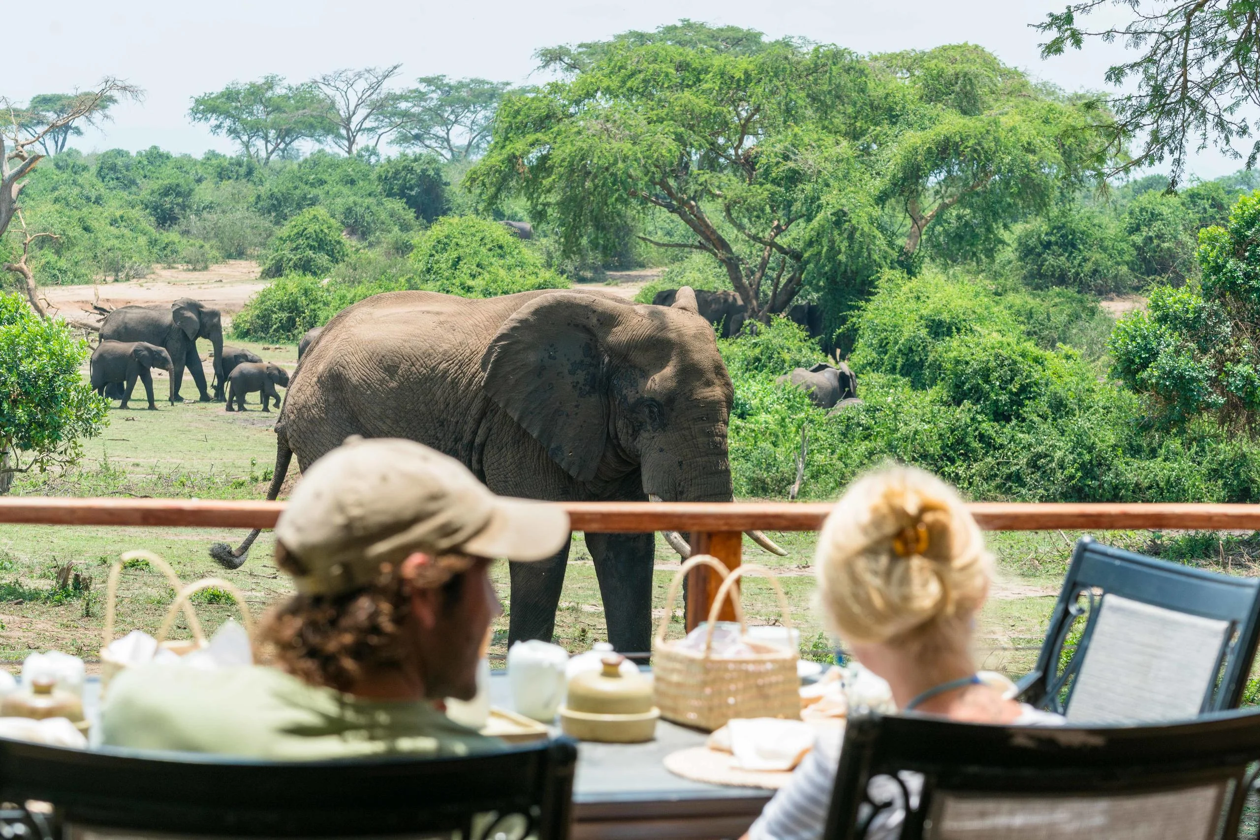 Guests on the deck watching elephant on the far bank