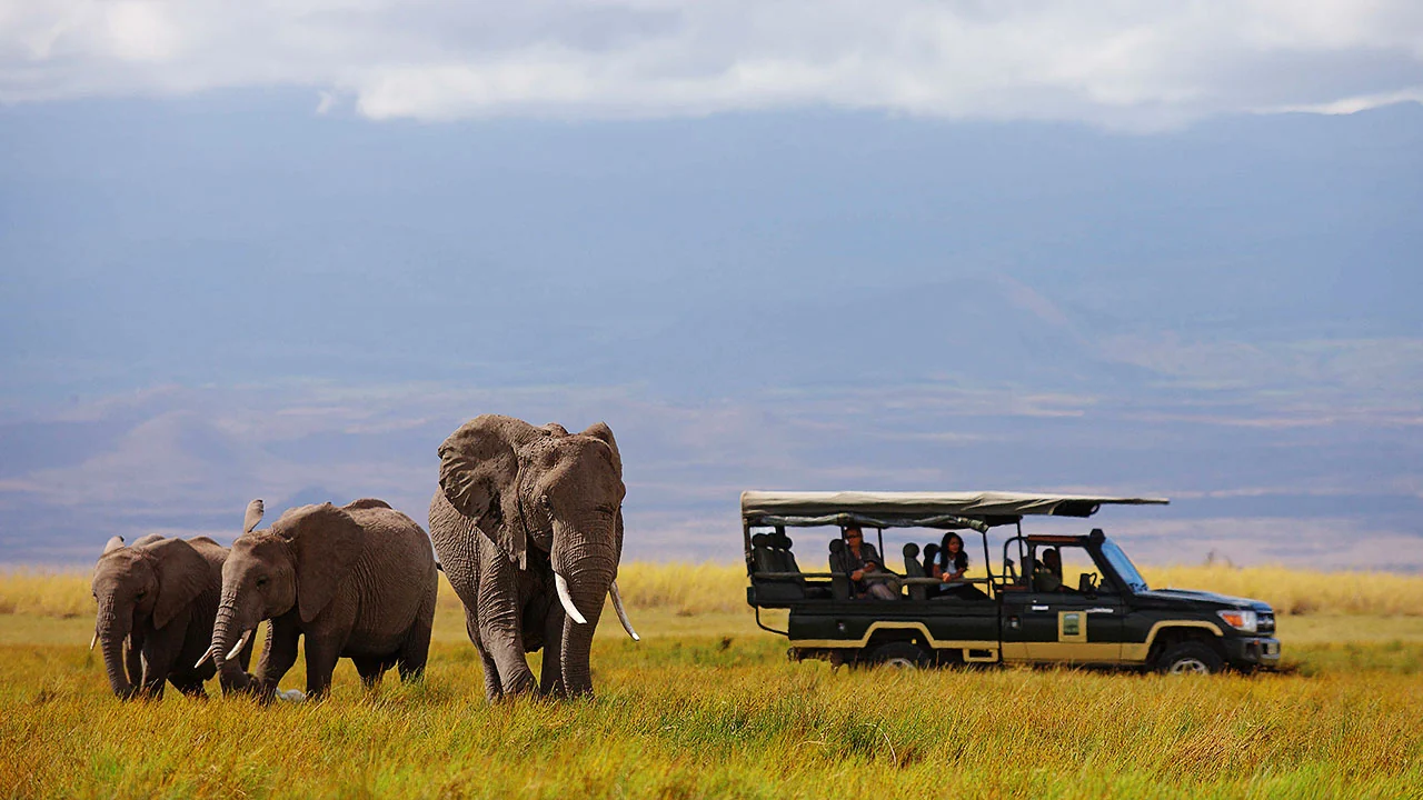 A game drive vehicle beside an elephant herd
