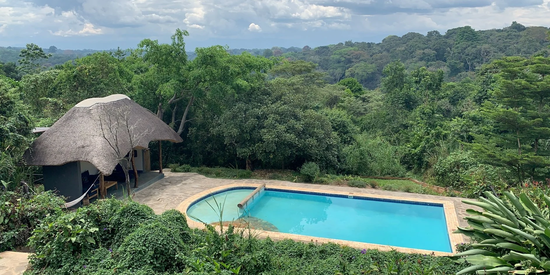 The thatched main building and pool above the forest