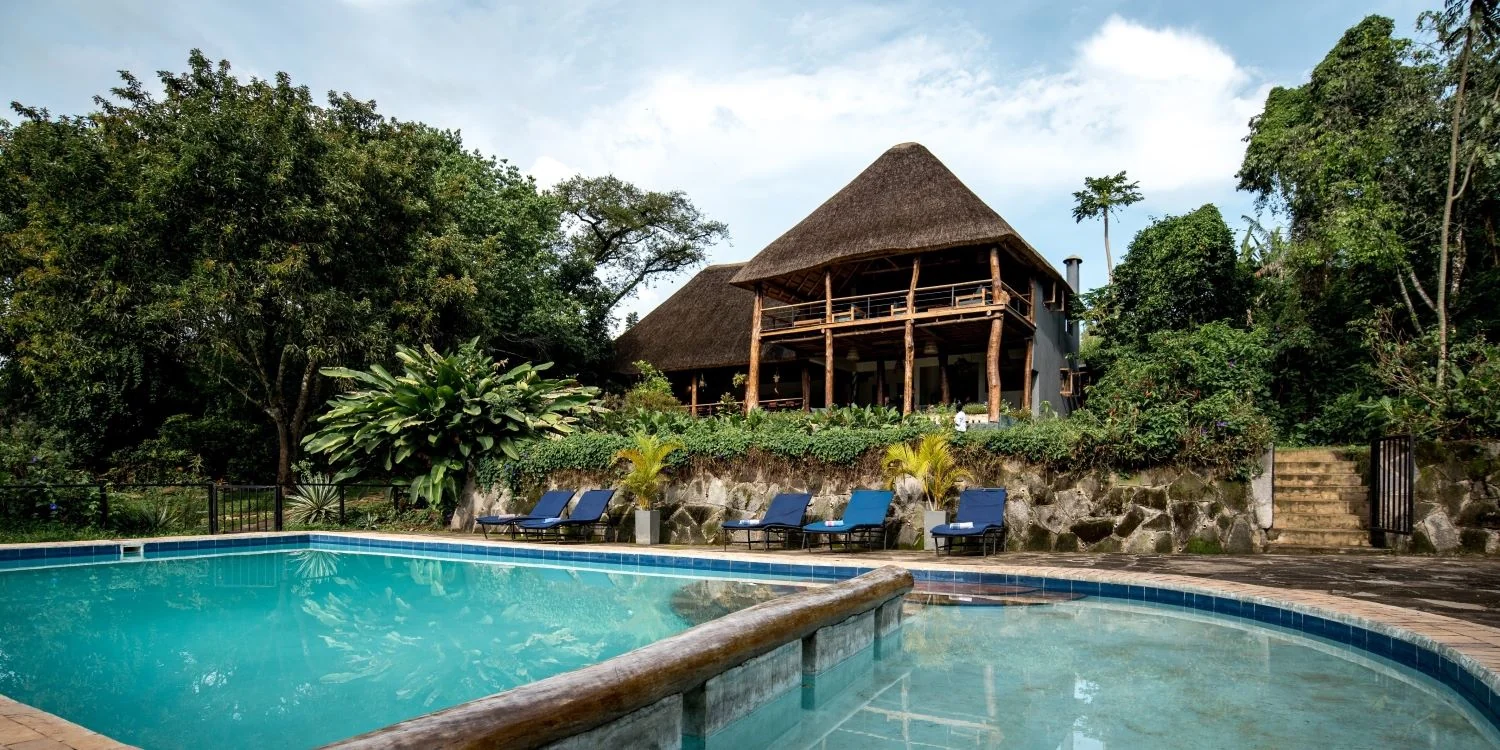 The pool with loungers beneath the trees