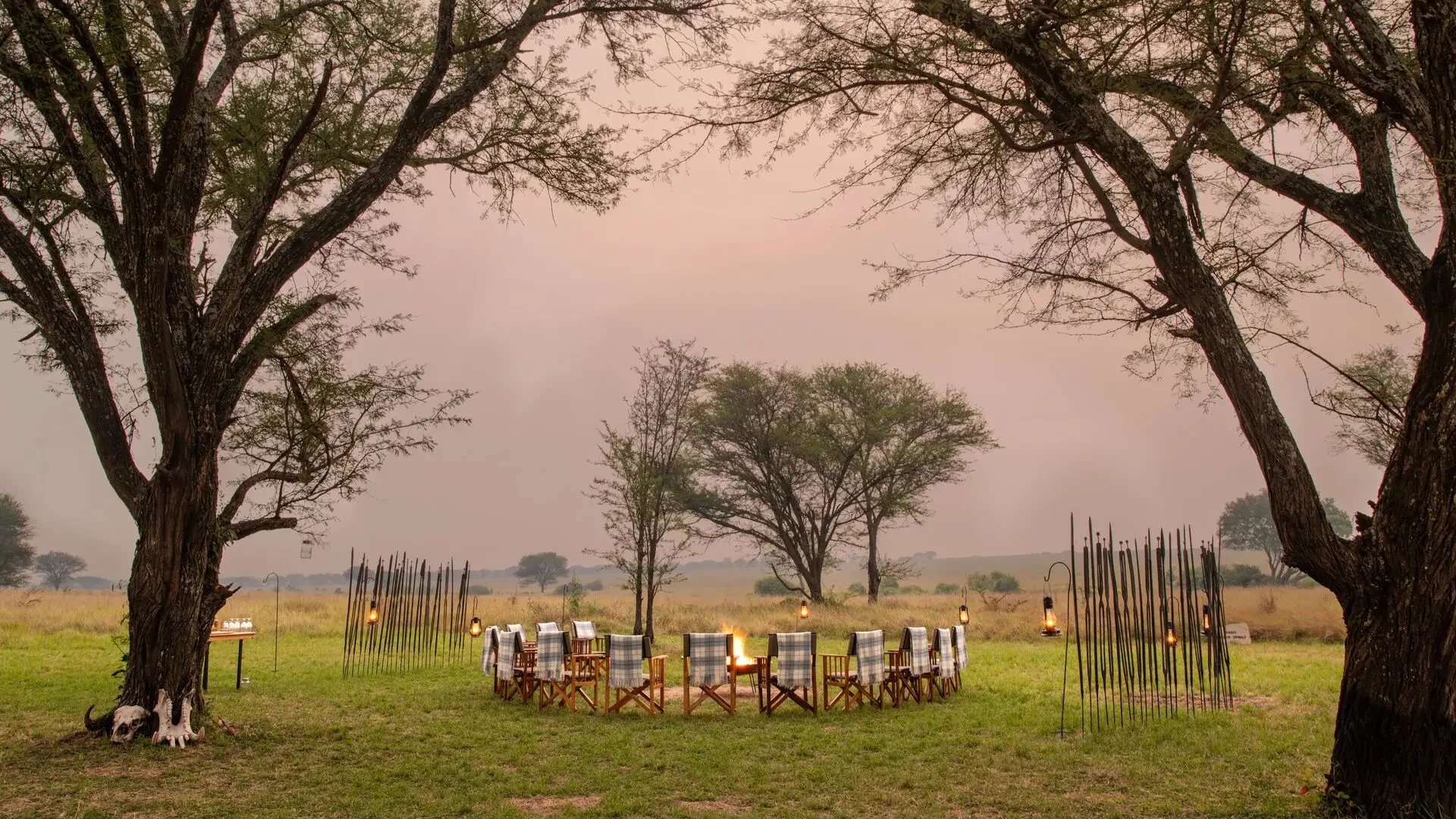 Chairs around the campfire beneath the trees at dusk