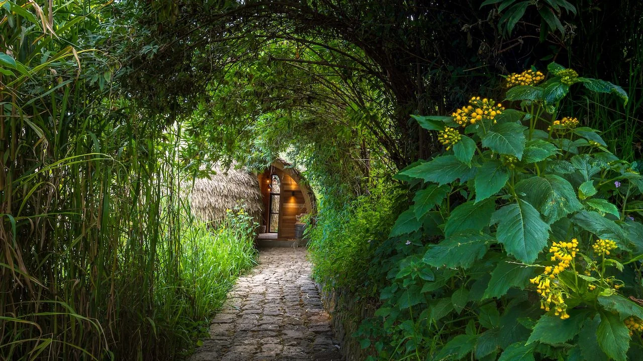 A stone path through an arch of greenery to a villa