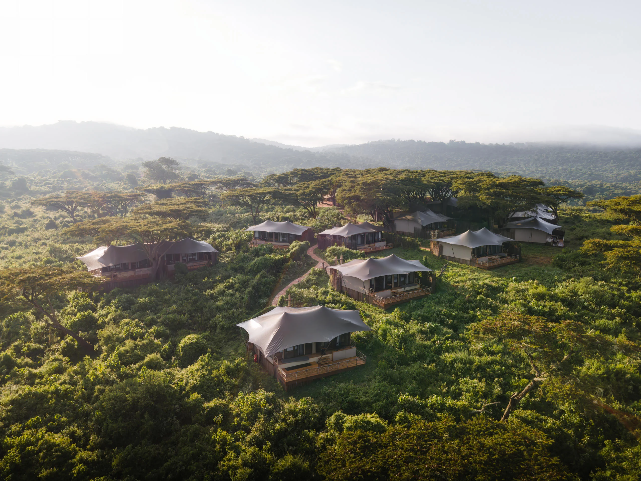 The suites among the trees on the rim, from the air
