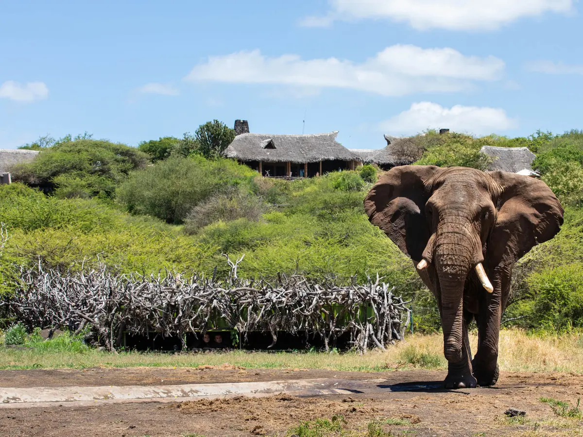 Mara Expedition Camp (Great Plains), selected for its setting and access to Maasai Mara.