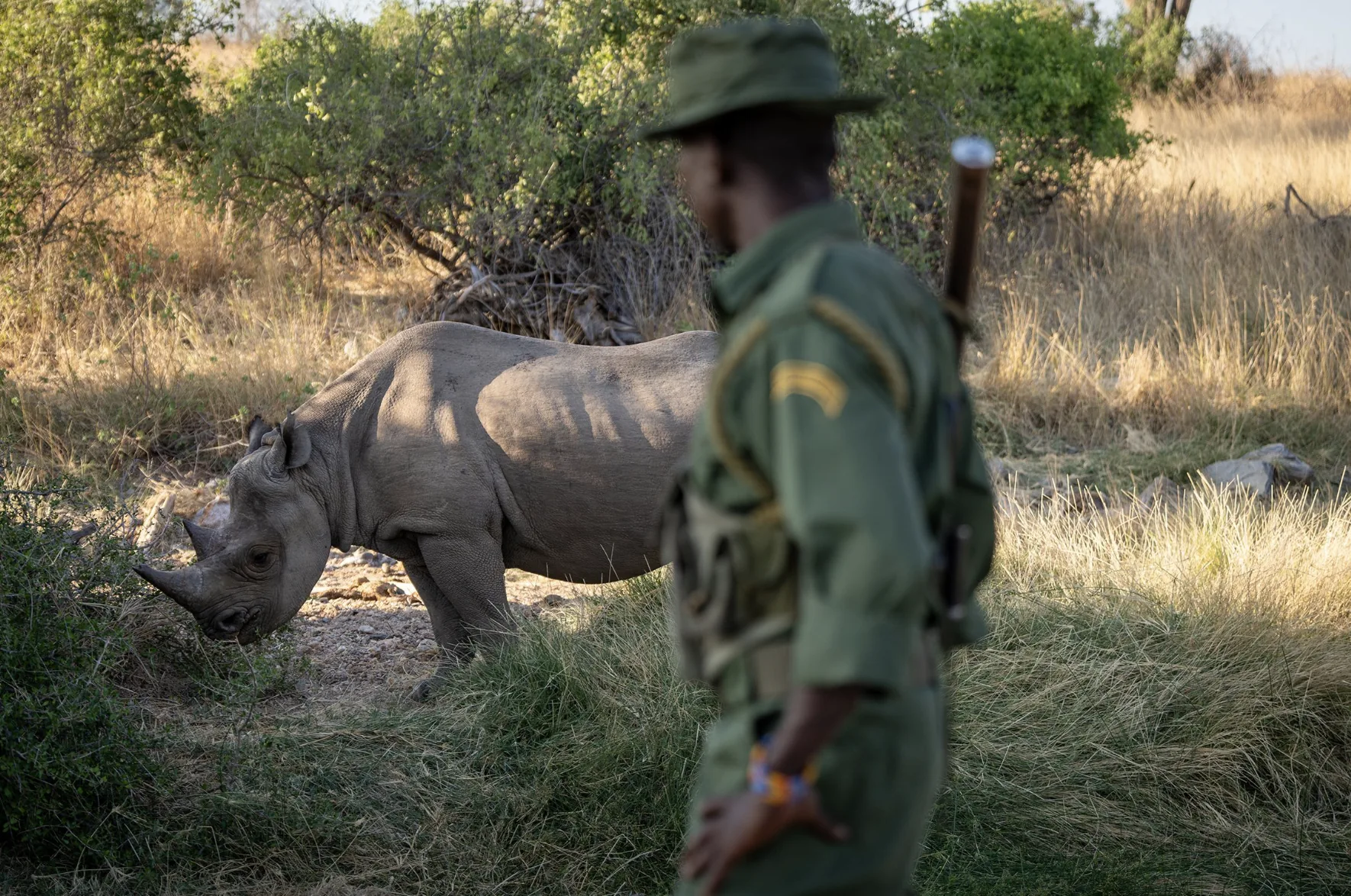 Saruni Rhino, selected for its setting and access to Samburu National Reserve.