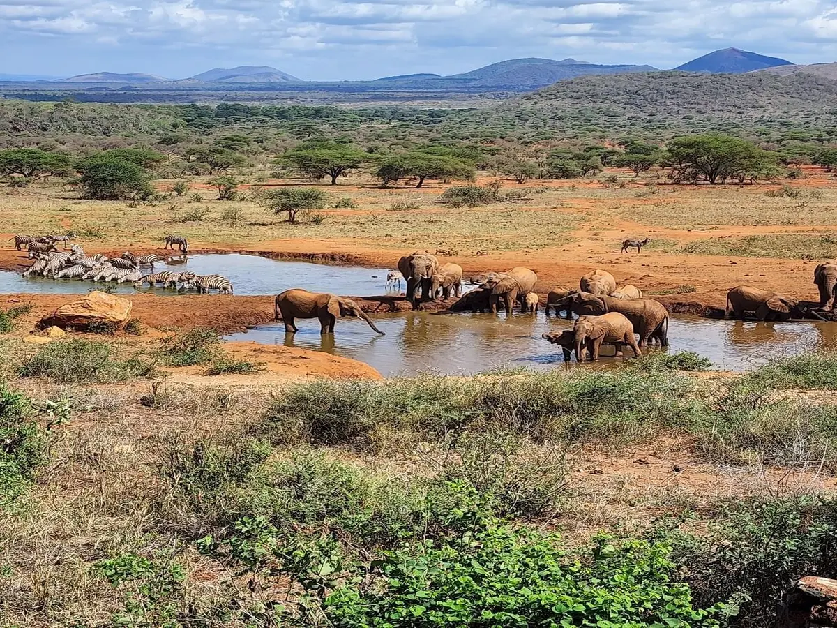 Kilaguni Serena Safari Lodge, selected for its setting and access to Tsavo East & Tsavo West.