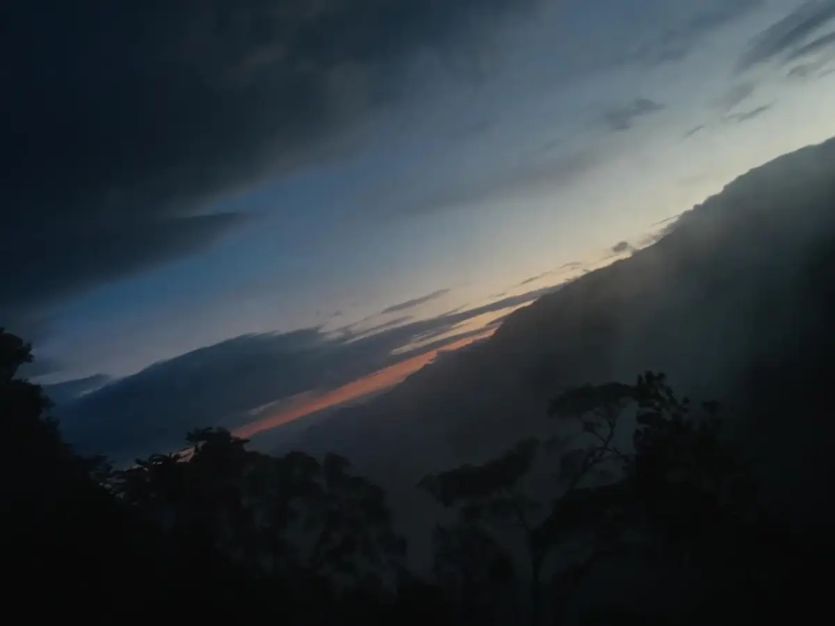 Nyungwe in Rwanda