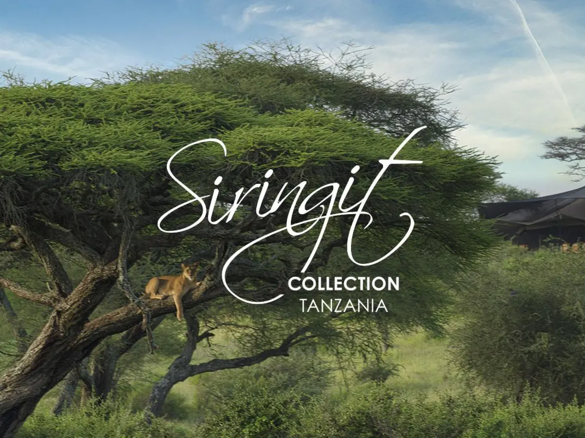 Siringit Migration Camp Kogatende, selected for its setting and access to Serengeti National Park.