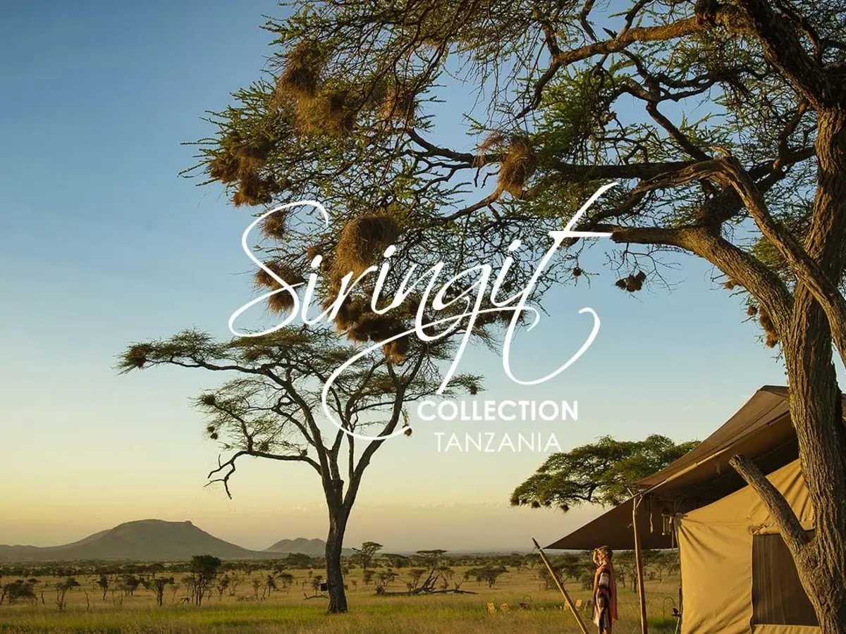 Siringit Serengeti Camp, selected for its setting and access to Serengeti National Park.