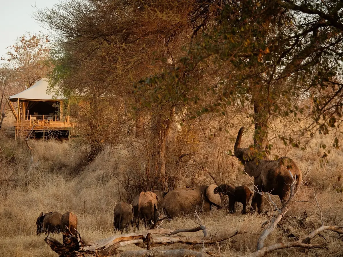 Olkeri Tarangire Camp, selected for its setting and access to Tarangire National Park.