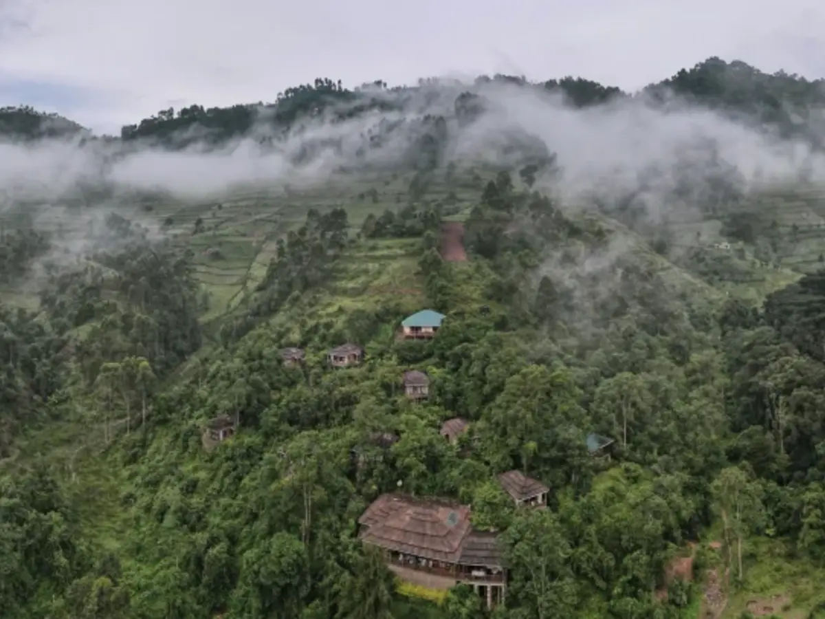 4-Gorilla Safari Lodge, selected for its setting and access to Bwindi Impenetrable Forest.
