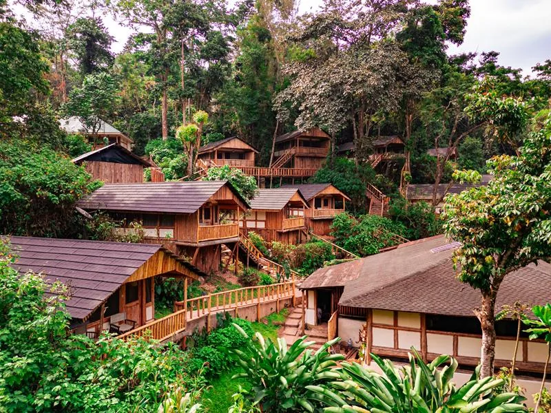 Buhoma Lodge, selected for its setting and access to Bwindi Impenetrable Forest.