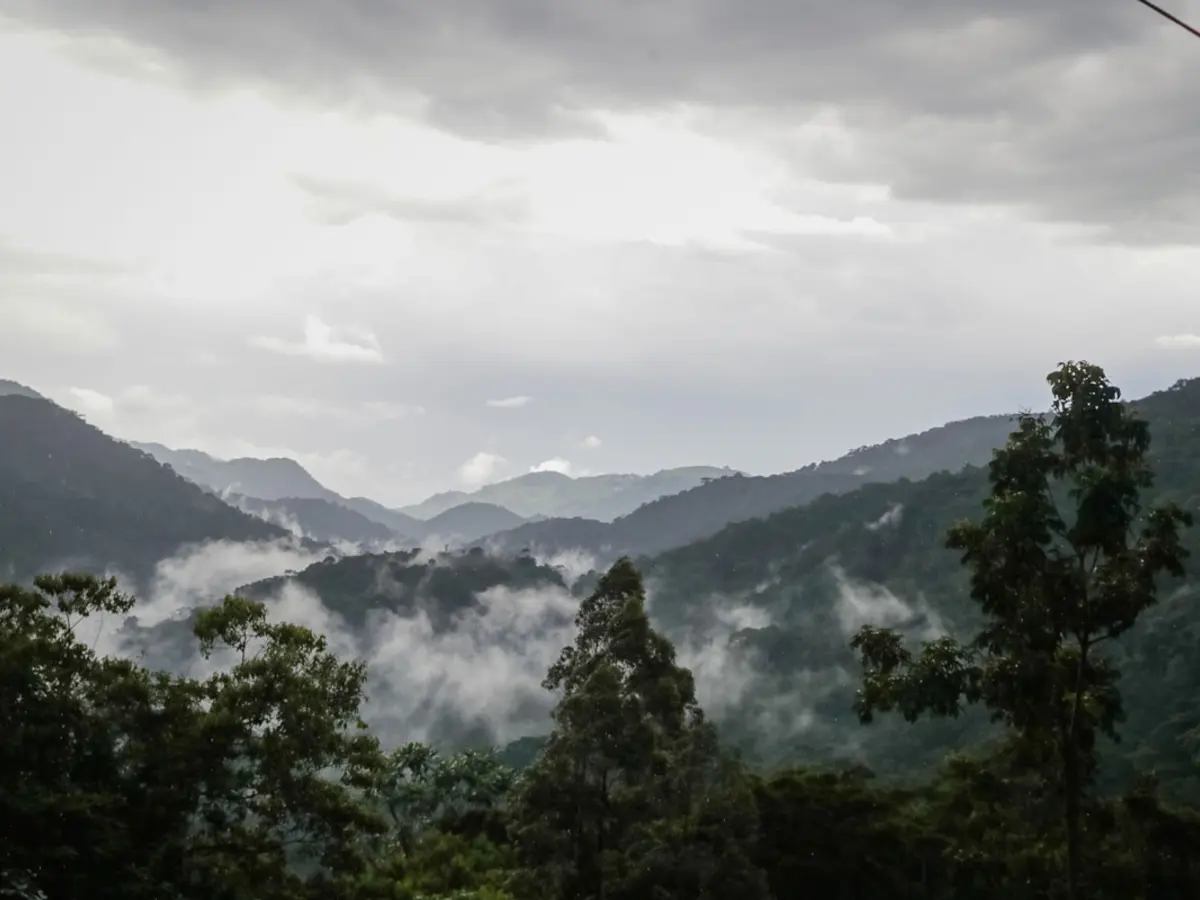 Bwindi Lodge (Volcanoes Safaris), selected for its setting and access to Bwindi Impenetrable Forest.