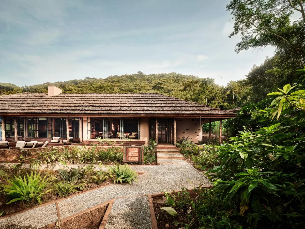 Gorilla Forest Lodge (A&K), selected for its setting and access to Bwindi Impenetrable Forest.
