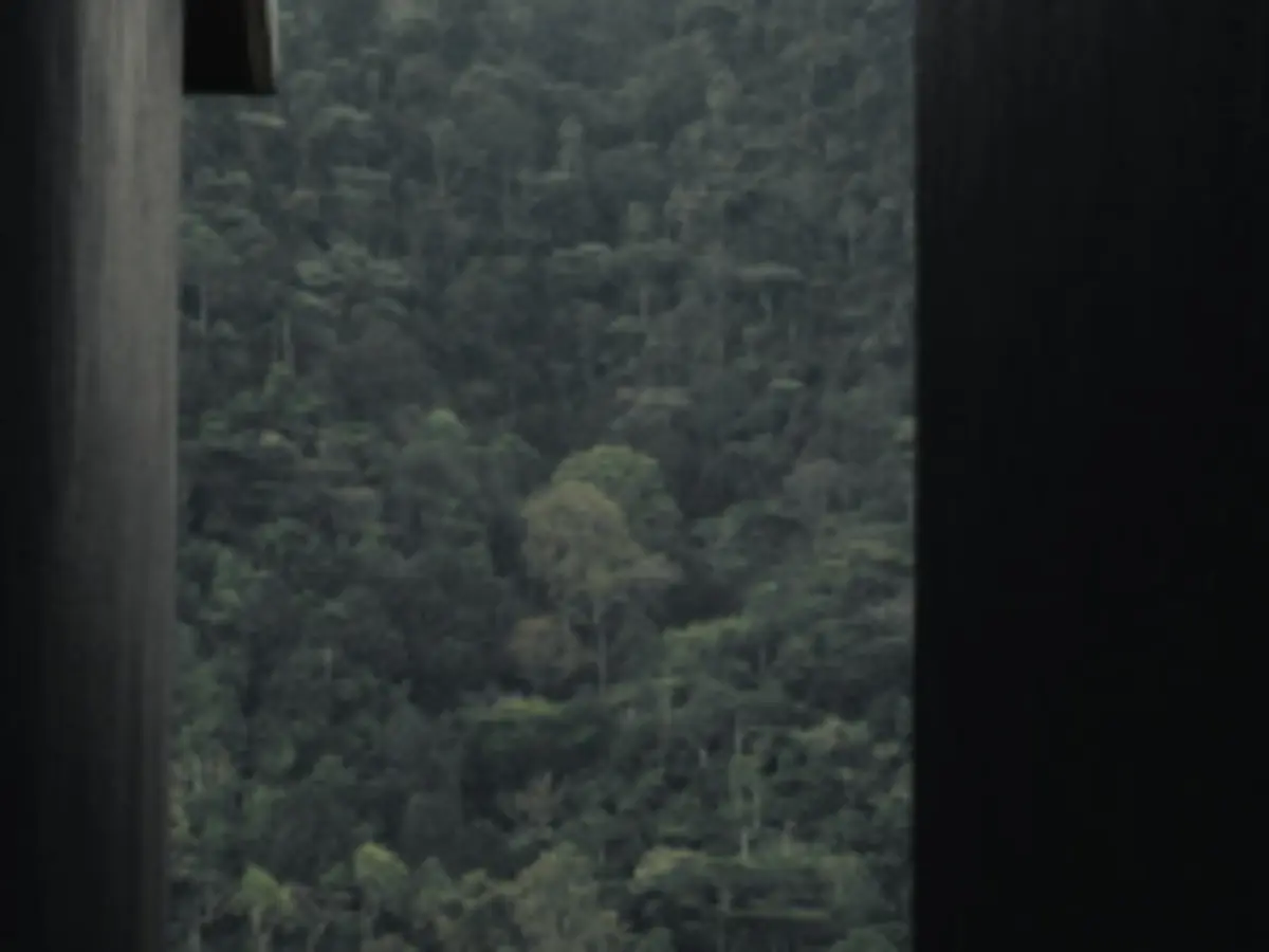 Silverback Lodge, selected for its setting and access to Bwindi Impenetrable Forest.