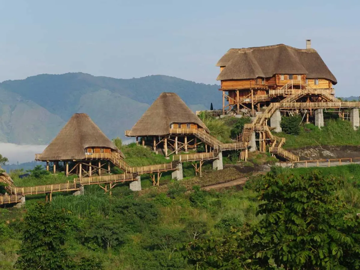 Kibale Forest in Uganda