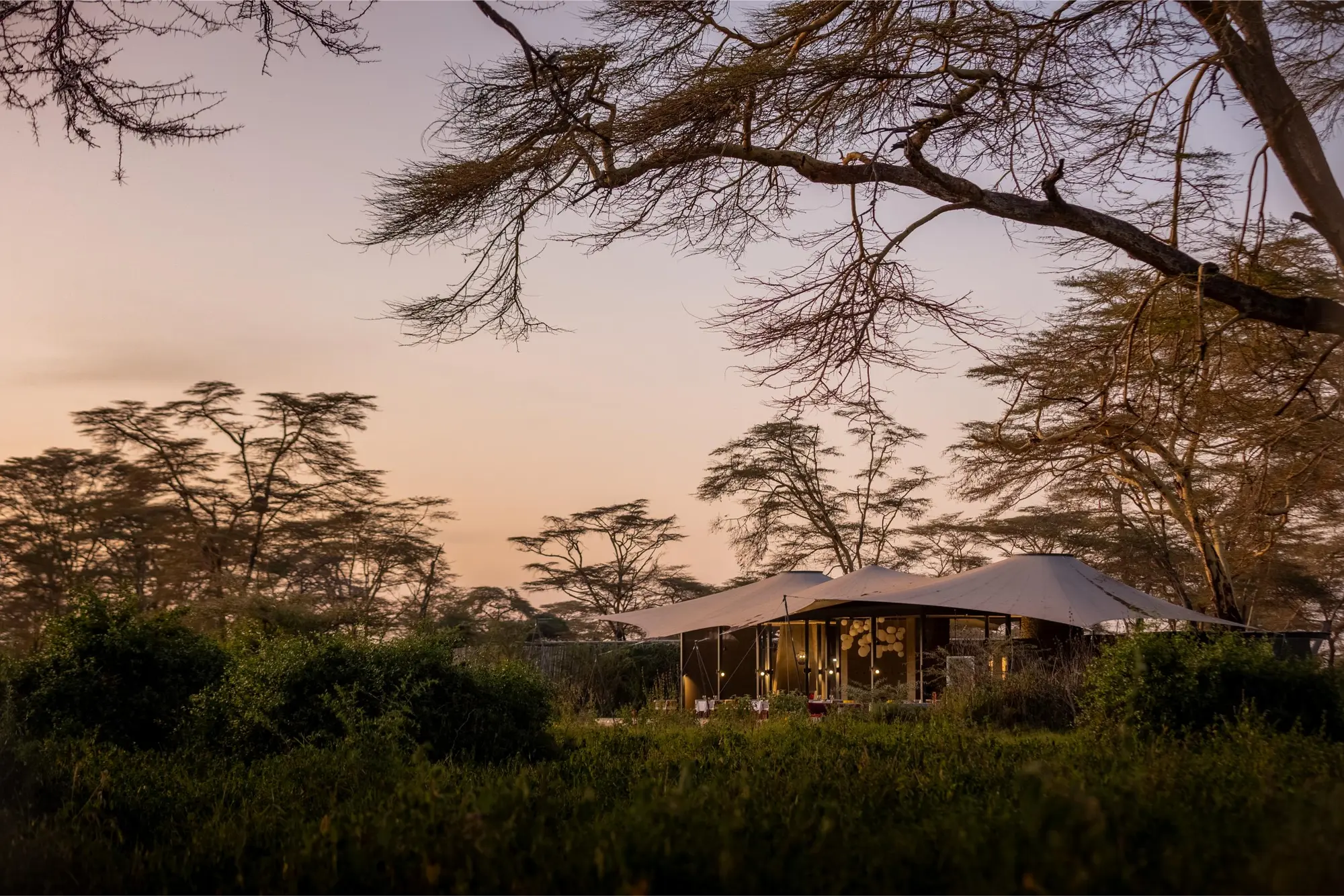 Western Serengeti & Grumeti in Tanzania